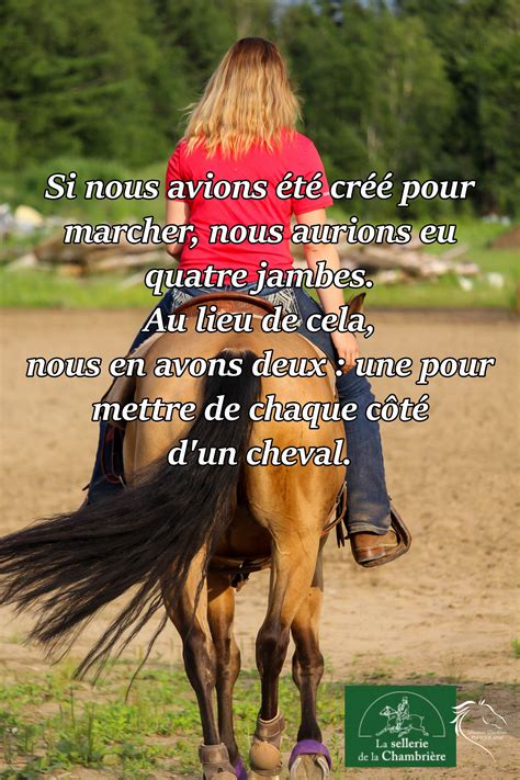 citation cheval et femme|les meilleures citations sur le cheval.